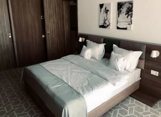 Hotel Clas Cameră Dublă #7