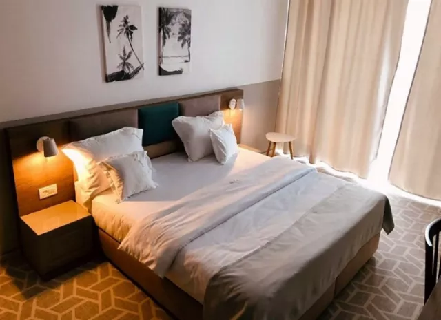 Hotel Clas Cameră Dublă #8