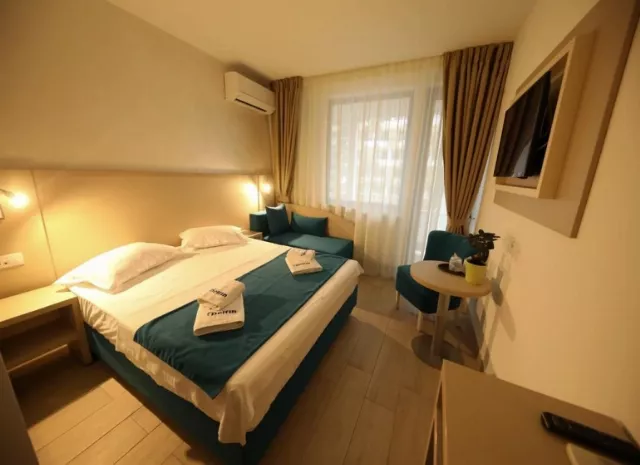 Hotel Delfin Cameră Dublă plus cu vedere la gradină #2