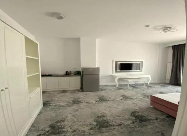 Hotel Dnh Apartament parter #4