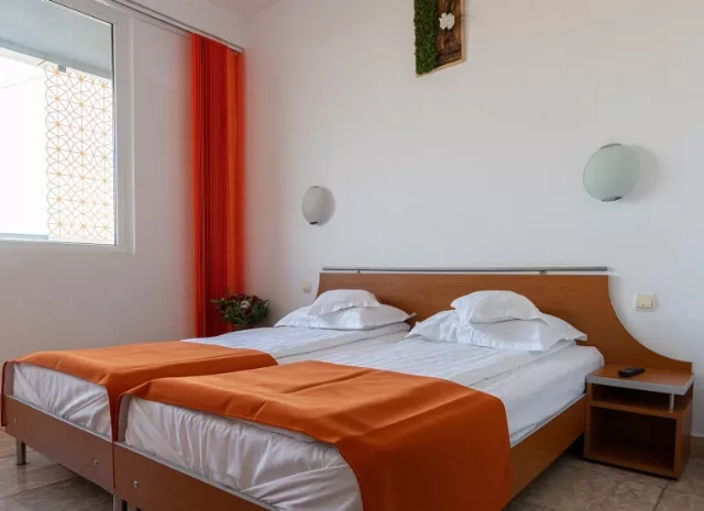 Hotel Dunarea Cameră Dublă twin