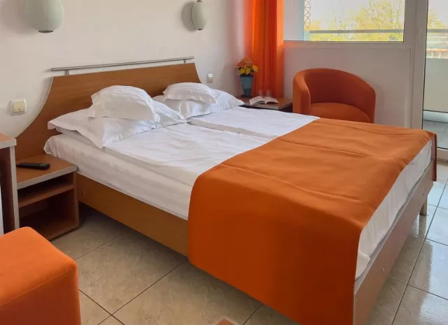 Hotel Dunarea Cameră Dublă matrimonială #4