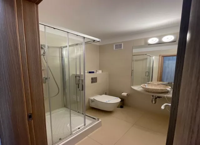 Hotel Dorna Cameră Dublă #3