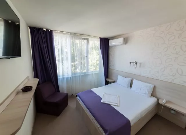Hotel Doina Studio King 3* fară AC #6