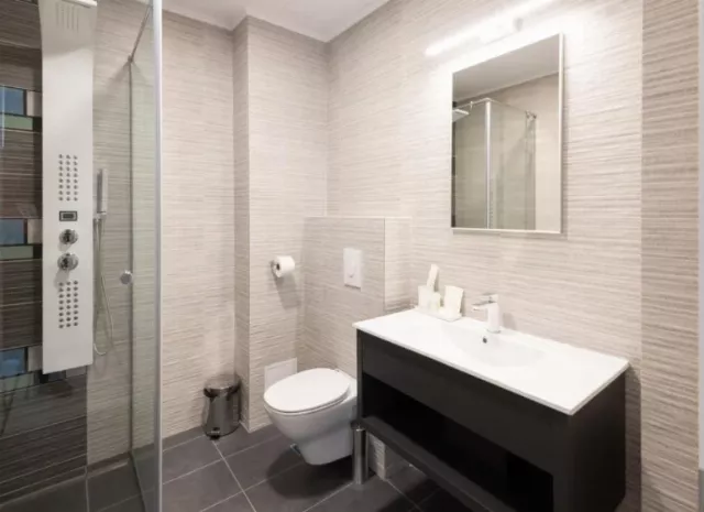 Hotel Javu Dubla deluxe cu dus #3