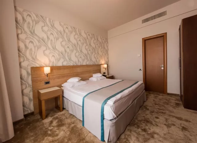 Hotel Iaki Cameră Dublă Executive