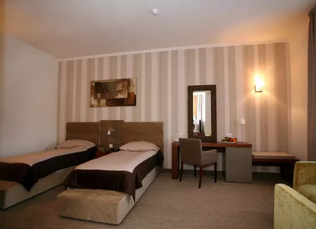Hotel Iaki Cameră Dublă standard #4
