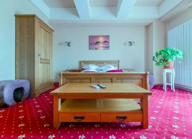 Hotel Ges Cameră Dublă #2