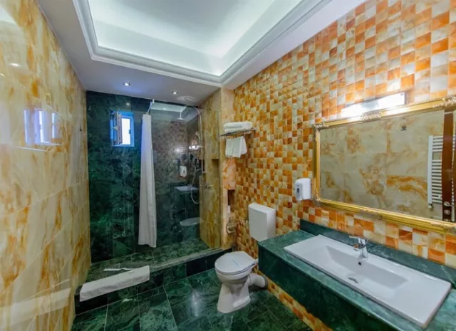 Hotel Ges Cameră Dublă #4
