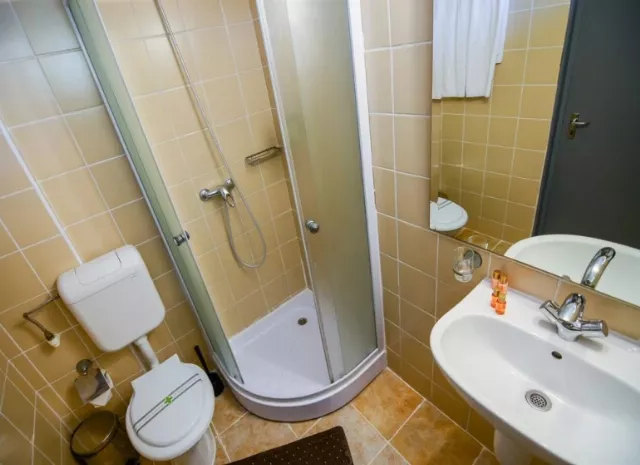 Hotel Majestic Cameră Dublă #2