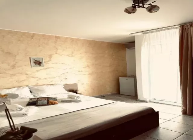 Vila Stefimar Cameră Dublă #6