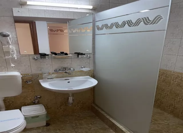 Hotel Modern Cameră Dublă #3