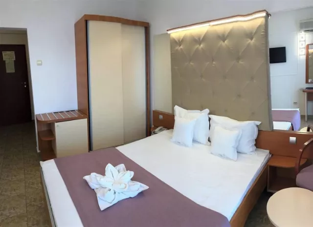 Hotel Modern Cameră Dublă #2