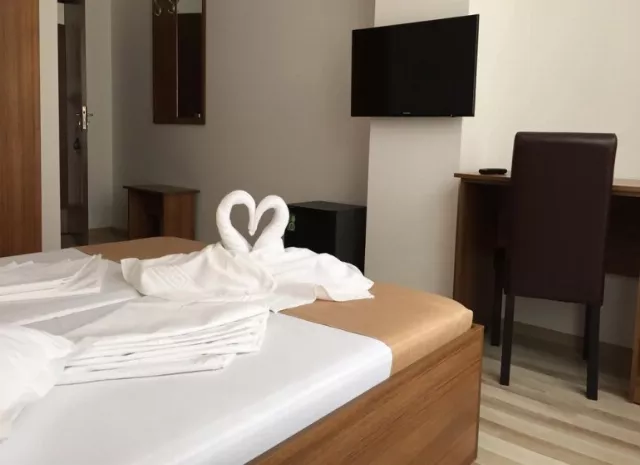 Hotel Mihaela Cameră Dublă #5