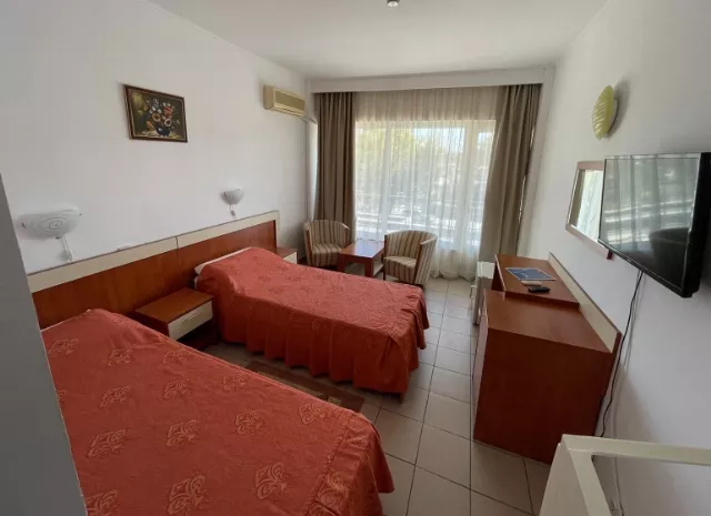 Hotel Orfeu Cameră Dublă #5