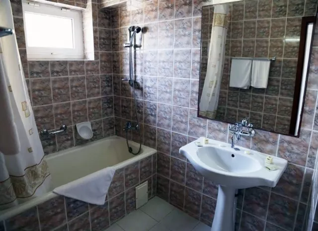 Hotel Orfeu Cameră Dublă #7