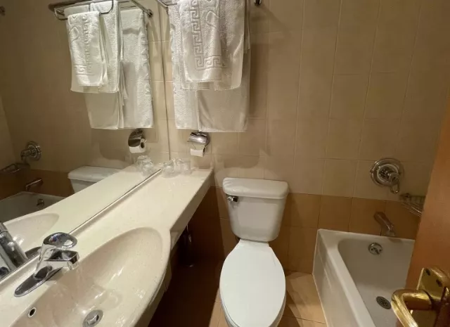 Hotel Palas Cameră Dublă #5