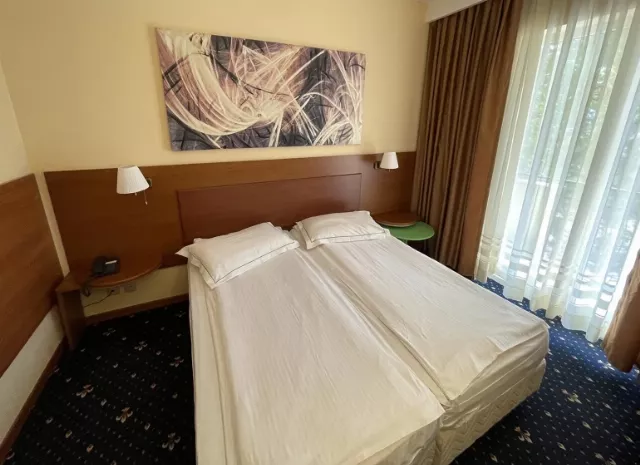 Hotel Palas Cameră Dublă #4