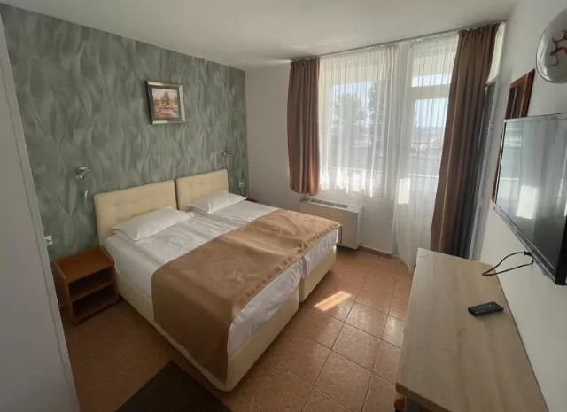 Hotel Ovidiu Cameră Dublă #4