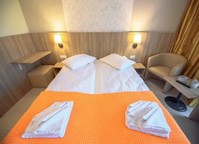 Hotel Piccadilly Cameră Dublă #8