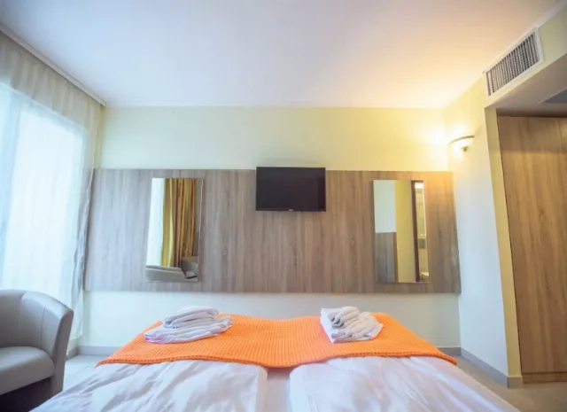 Hotel Piccadilly Cameră Dublă #5