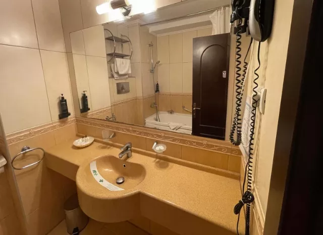 Hotel Richmond Cameră Dublă #6