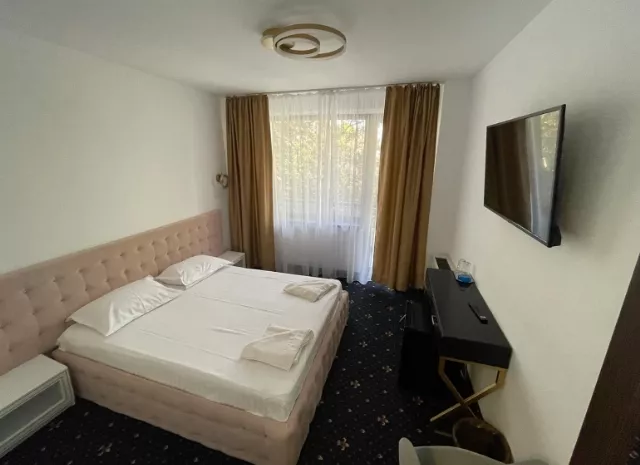 Hotel Siret Cameră Dublă #3