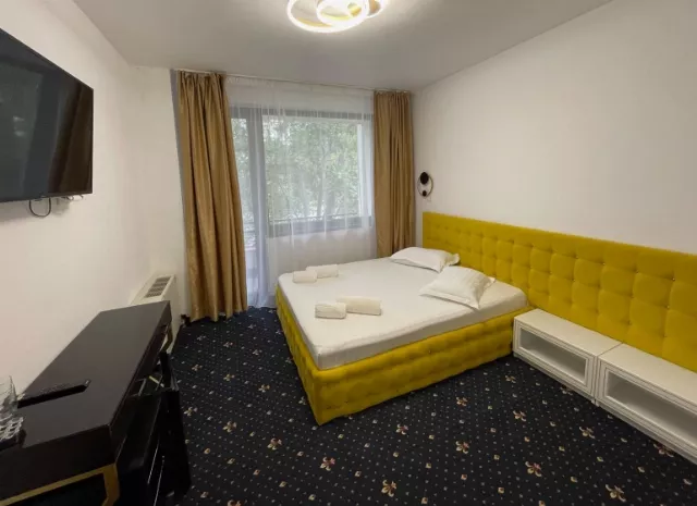 Hotel Siret Cameră Dublă #6