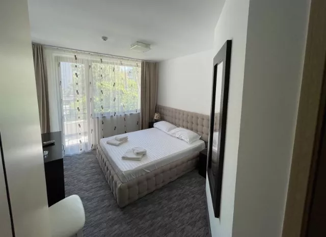 Hotel Siret Cameră Dublă #4