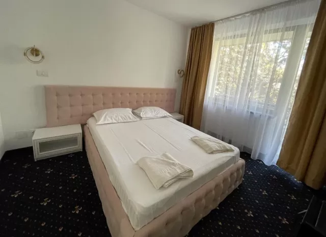 Hotel Siret Cameră Dublă #5