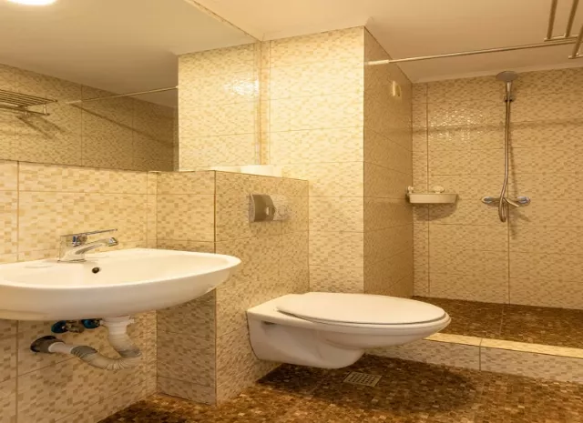 Hotel Venus Cameră Dublă #4
