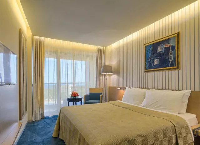 Hotel Vega Cameră Dublă standard cu balcon #3