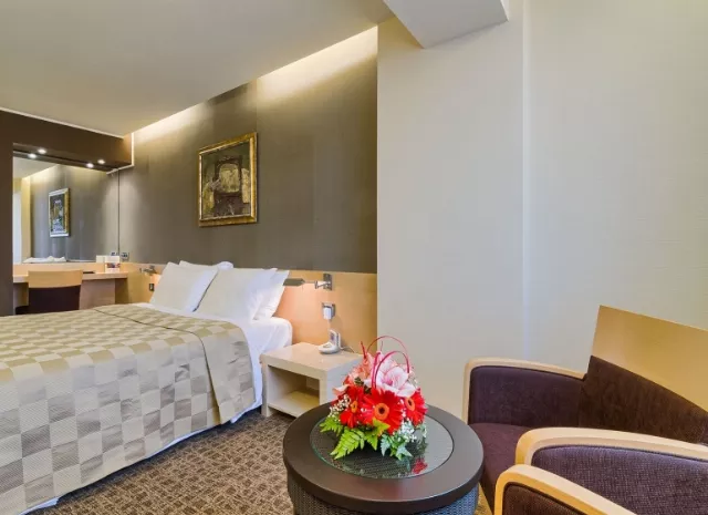 Hotel Vega Cameră Dublă standard cu balcon #2