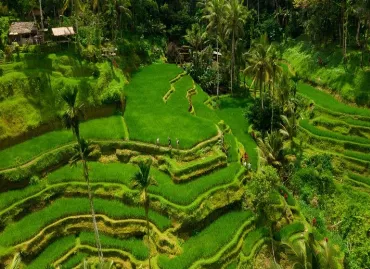Hotel Alila Ubud, Indonesia / Bali / Ubud