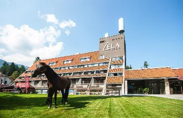 Hotel Ela, Bulgaria / Borovets