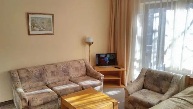Hotel Bor Apartment #2