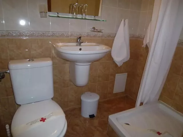 Hotel Bor Double room standard #3