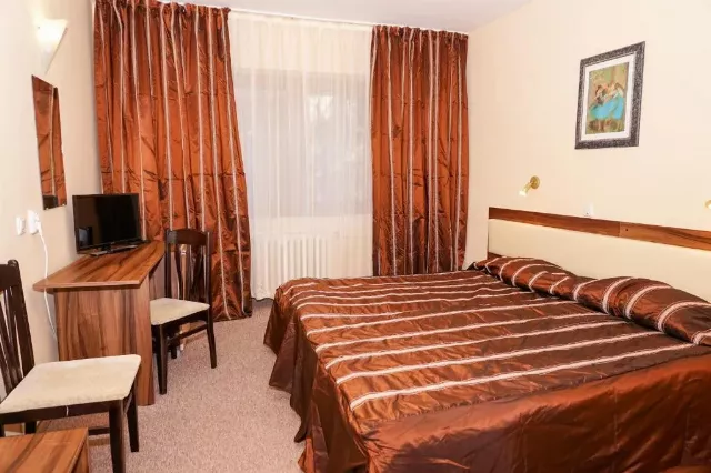 Hotel Bor Double room standard #2