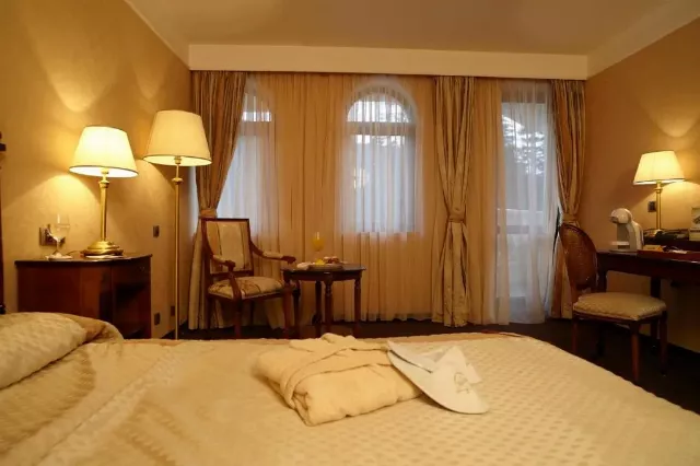 Hotel Festa Winter Palace Double room deluxe #4