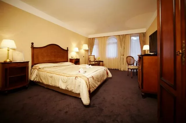 Hotel Festa Winter Palace Double room deluxe #5
