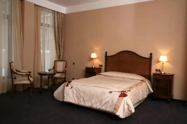 Hotel Festa Winter Palace Double room deluxe #3