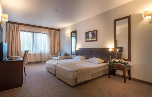 Hotel Lion Borovets Double room standard #6