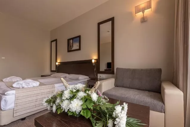 Hotel Lion Borovets Double room large