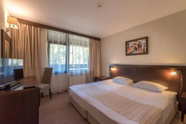 Hotel Lion Borovets Double room standard #3