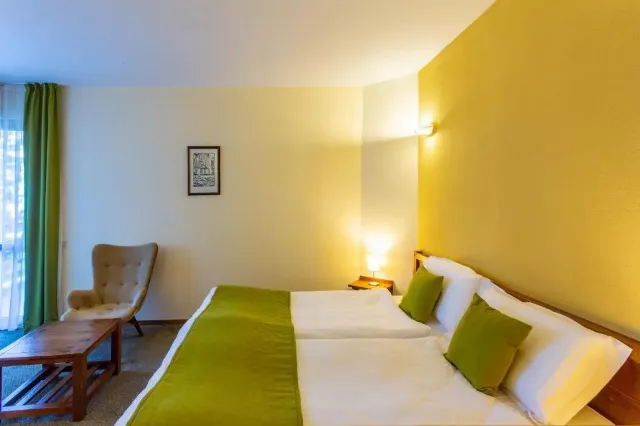 Hotel Musala Cameră Dublă #7