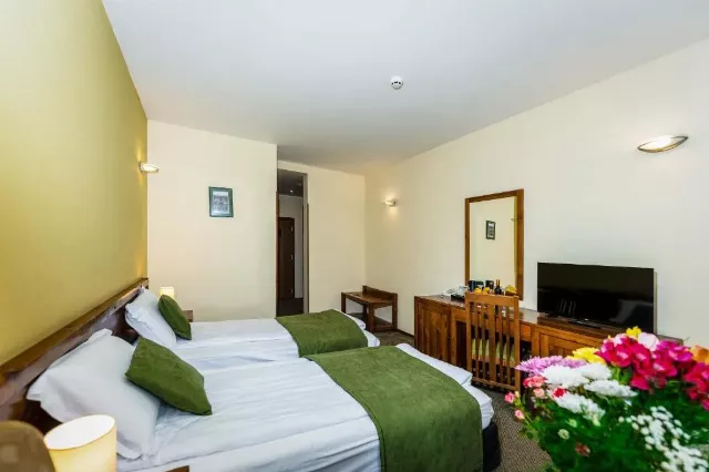 Hotel Musala Cameră Dublă #3