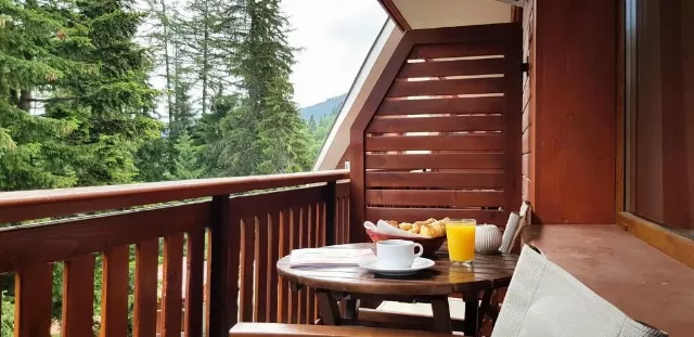 Hotel Yastrebets Welness & Spa, Cameră Dublă
