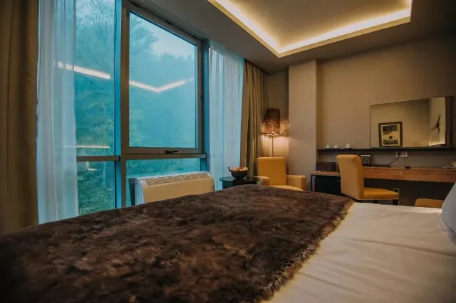 Hotel Balvanyos Resort Flex sau Queen standard #2