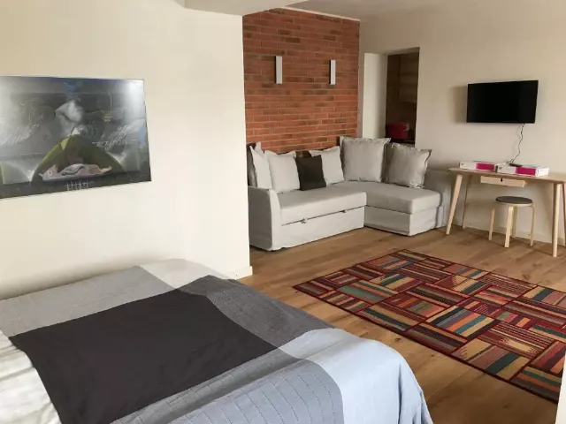 Hotel Balvanyos Resort Apartament 1 dormitor / canapea extensibila - Vila Panorama 1