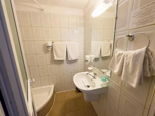Hotel Majestic Cameră Dublă #7